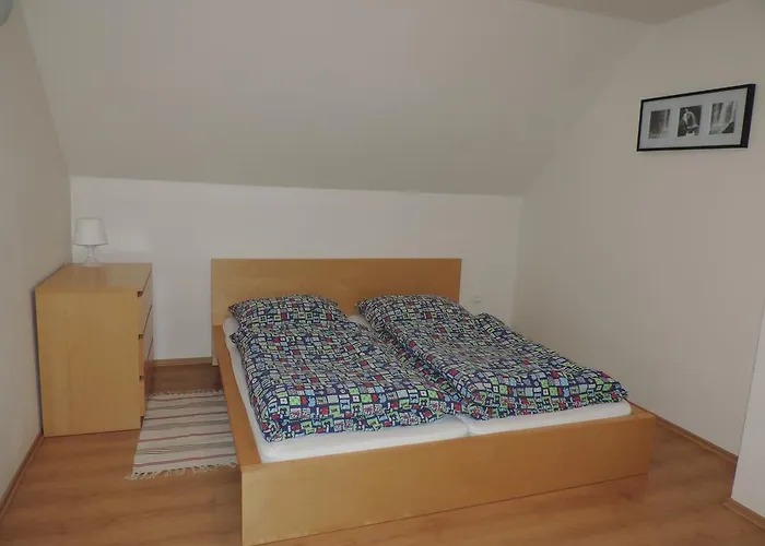 Apartmanovy Dom River 別荘