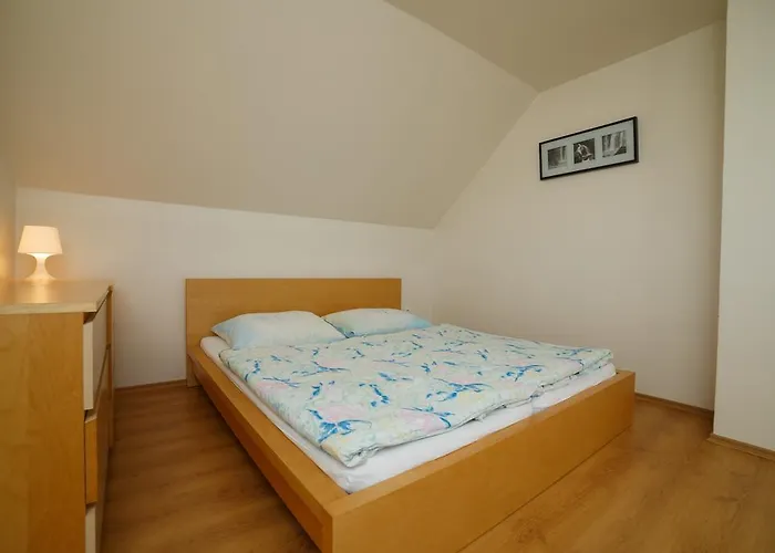 Apartmanovy Dom River 別荘 *